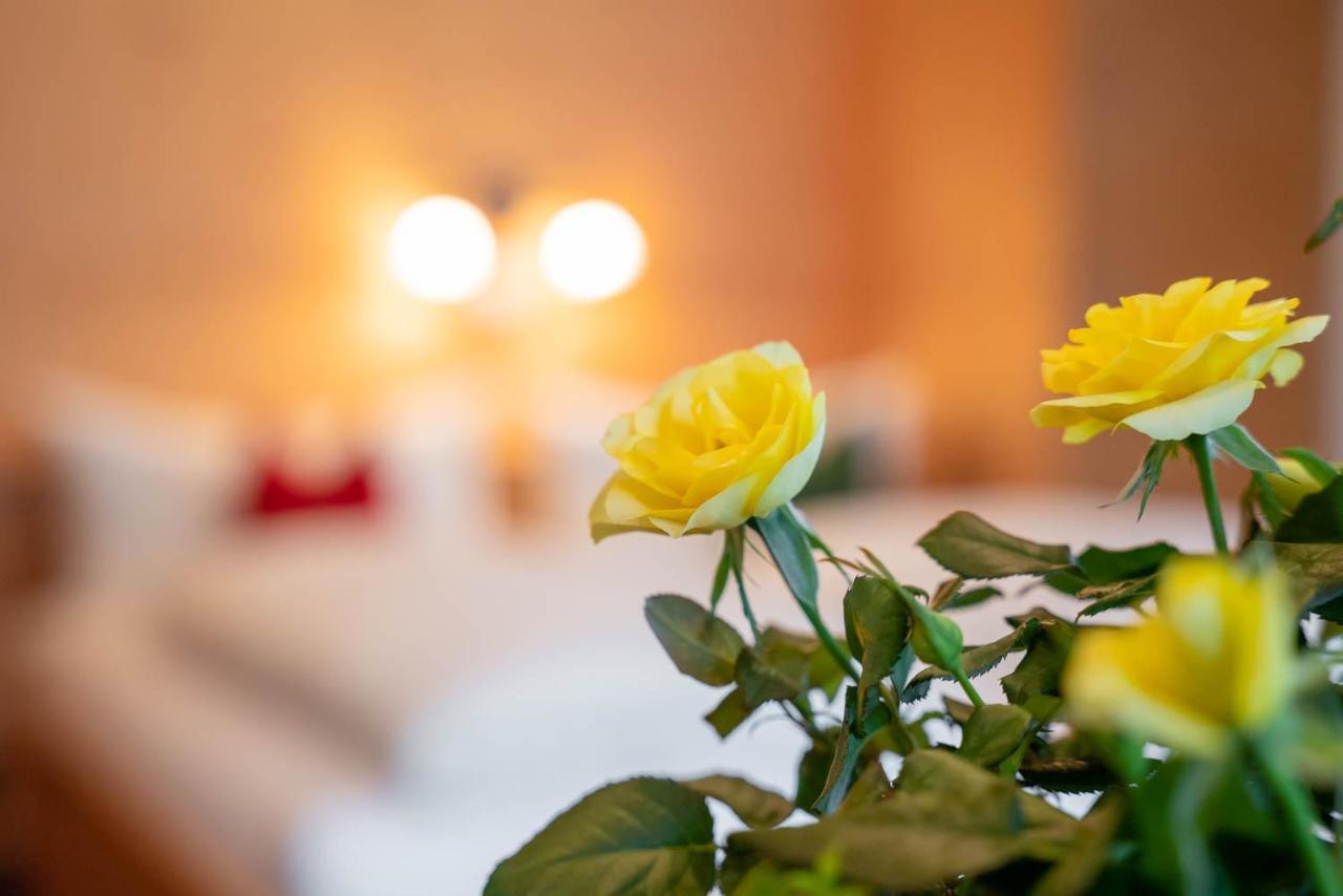 Ferienwohnung Heidi Elmen Exteriér fotografie